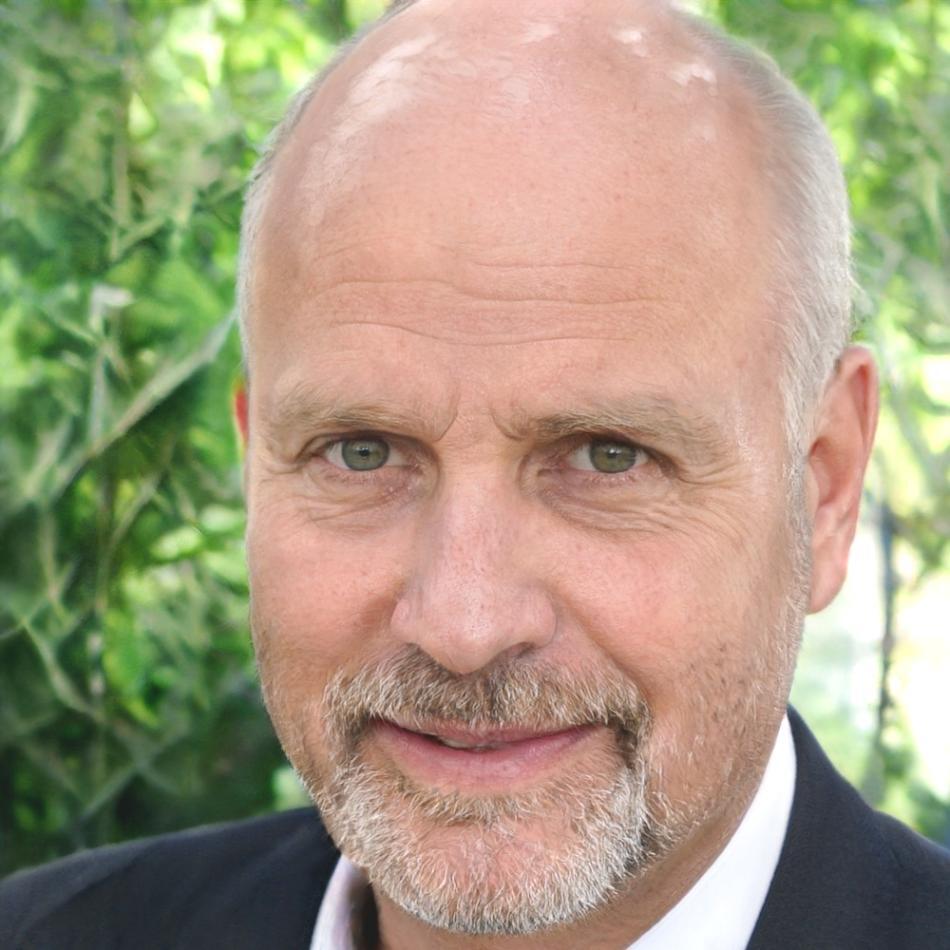 Henrik Voss, Finanzberater und Gründer